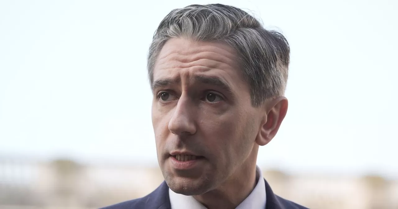 Taoiseach Simon Harris Criticized for Linking Immigration and Homelessness