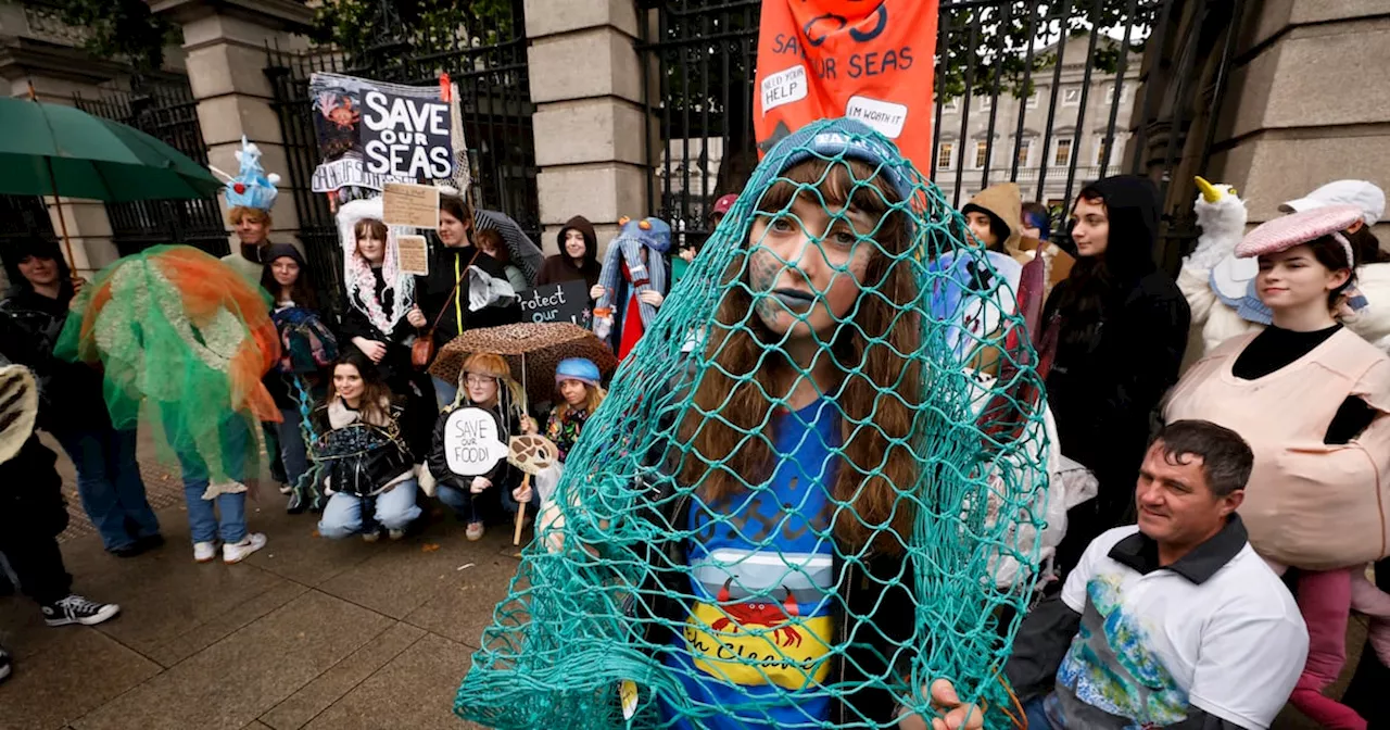 Demonstration over lack of progress on marine habitats Bill held at Leinster House