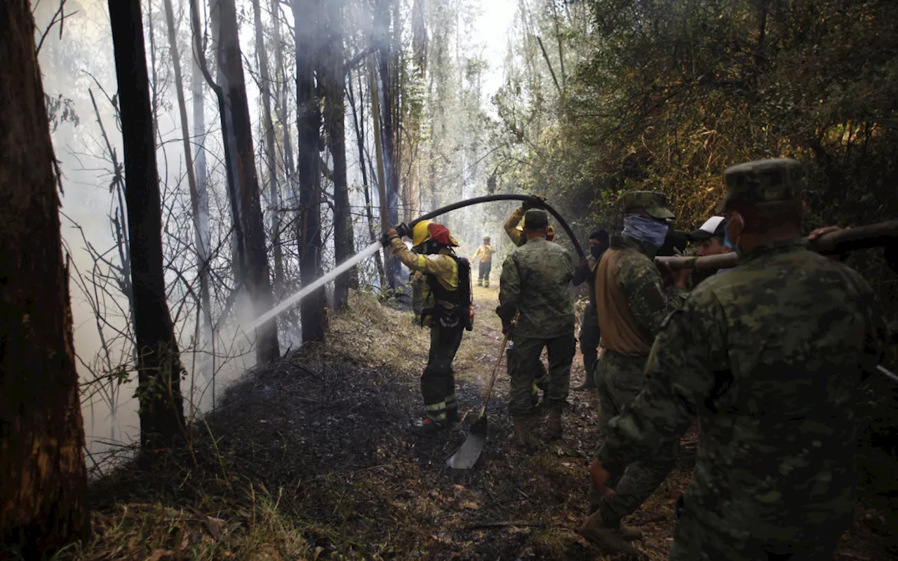 Quito enfrenta incêndios florestais que deixam seis feridos