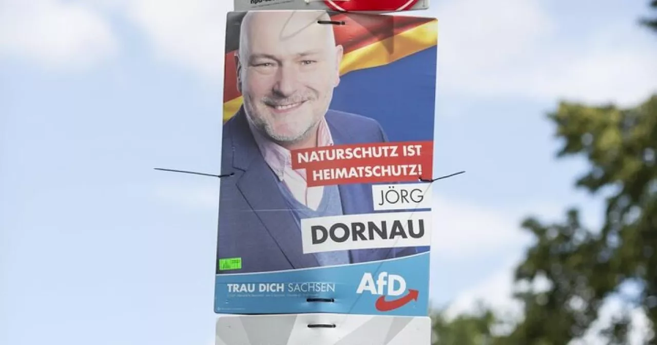 AfD-Politiker Dornau betreibt Zwiebelfarm in Belarus mit Häftlingsarbeit