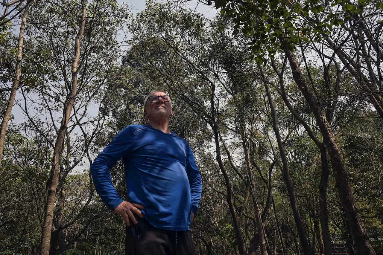 Du vert sur le béton à Sao Paulo, le pari «fou» d'un Brésilien