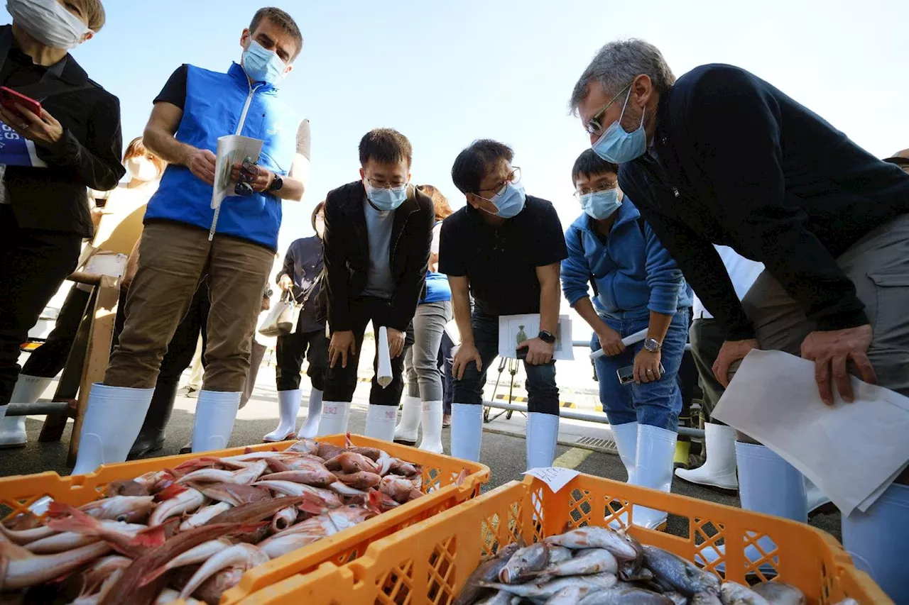 Taïwan allège les restrictions sur les importations de nourriture japonaise, selon Tokyo