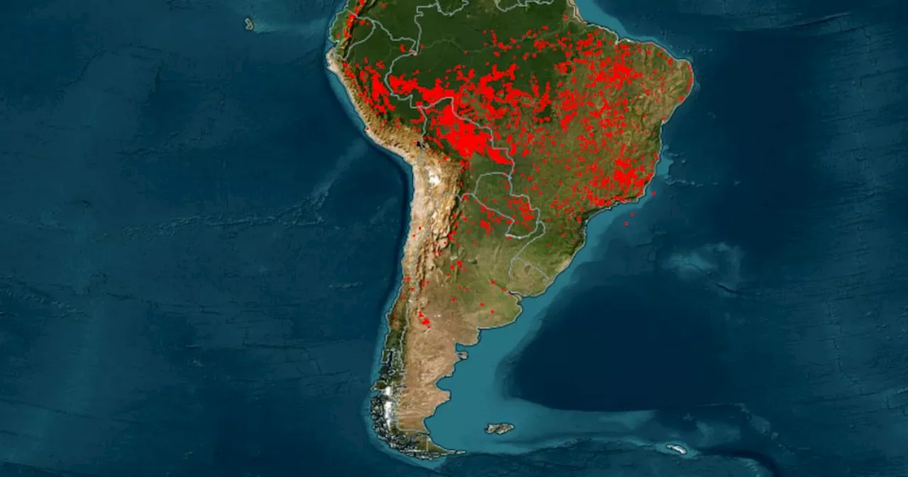 Sudamérica, bajo fuego: más de 10 millones de hectáreas arrasadas en Brasil, Bolivia y Ecuador