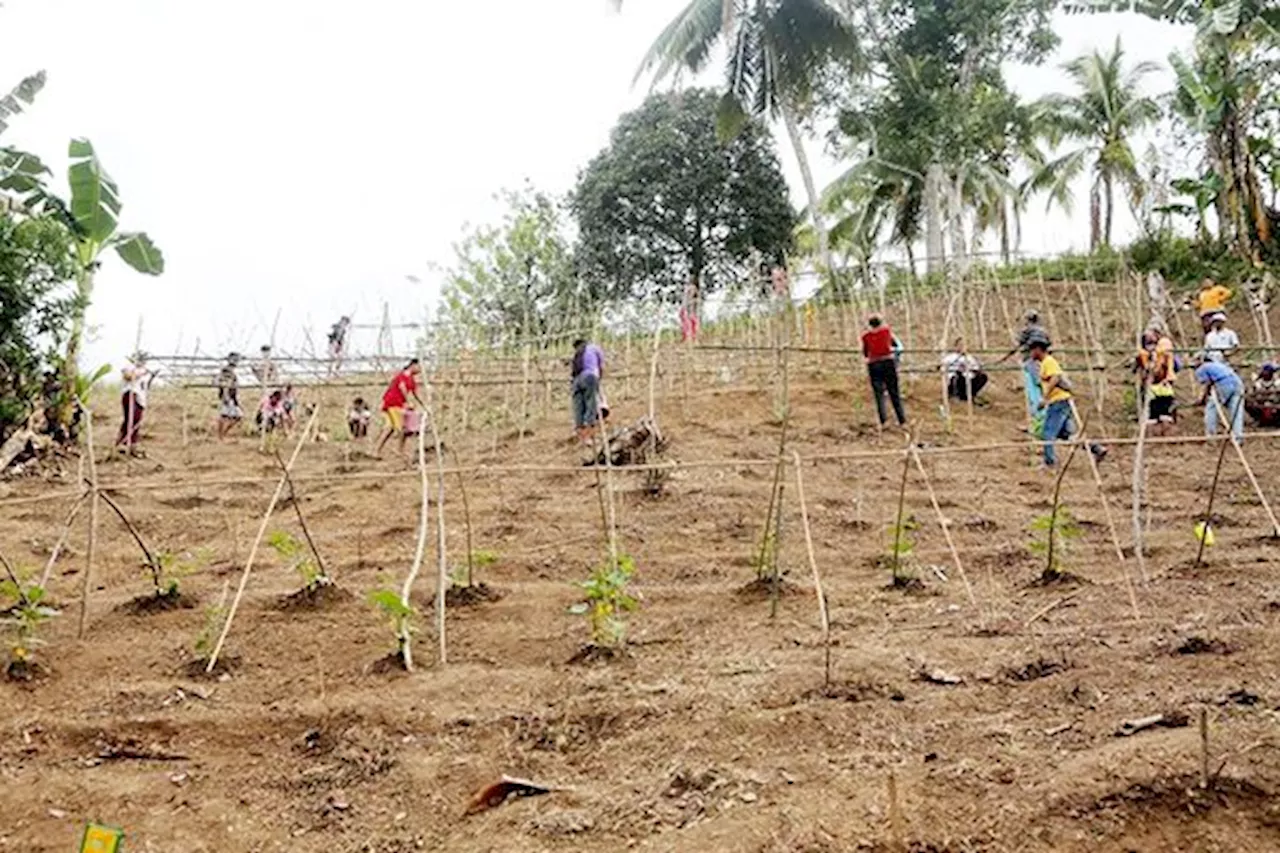 FAO expands livelihood program in IP communities in Maguindanao del Sur