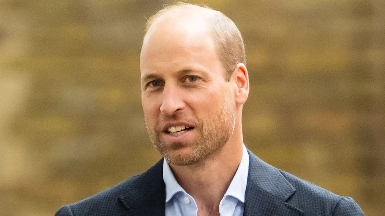 Prince William Appeals to World Leaders at the UN Just Hours After Prince Harry's Appearance