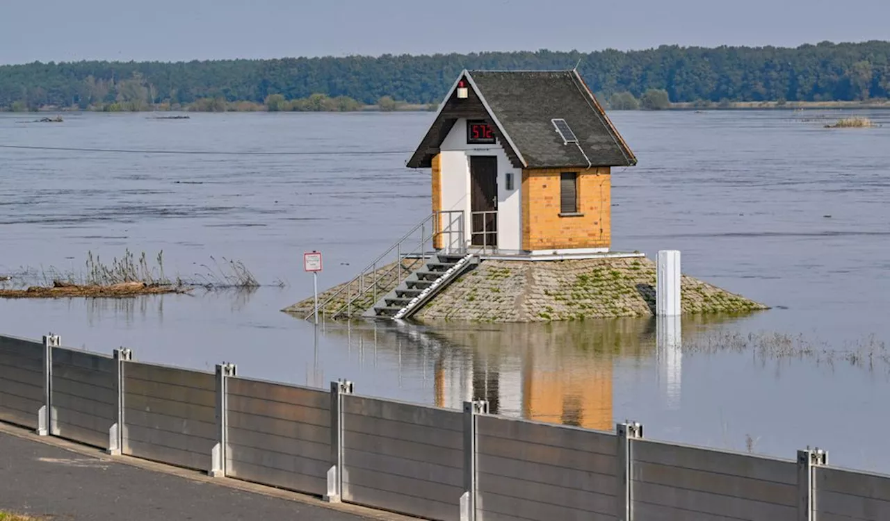 Studie: Risiko für Extrem-Hochwasser gewachsen – eskalierende Kosten