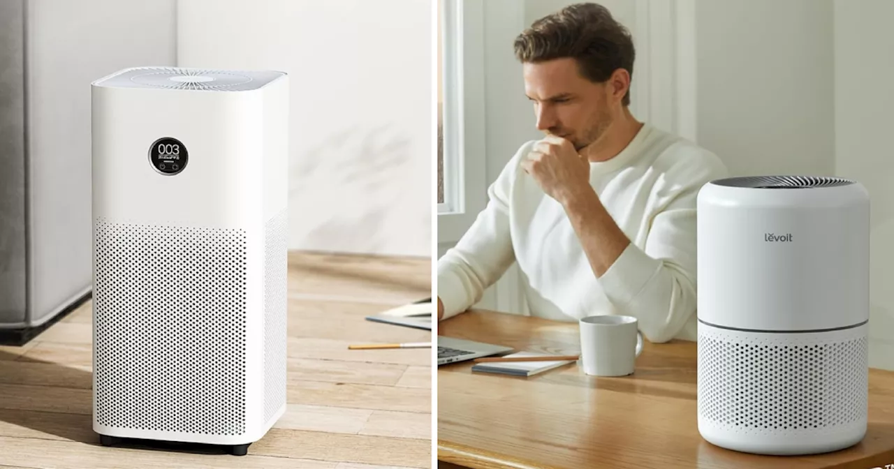 Air Purifiers पर 60% तक की छूट ट्रेंड करने लगी, Amazon Great Indian Festival सेल के शुरू होते ही लूट लें ऑफर