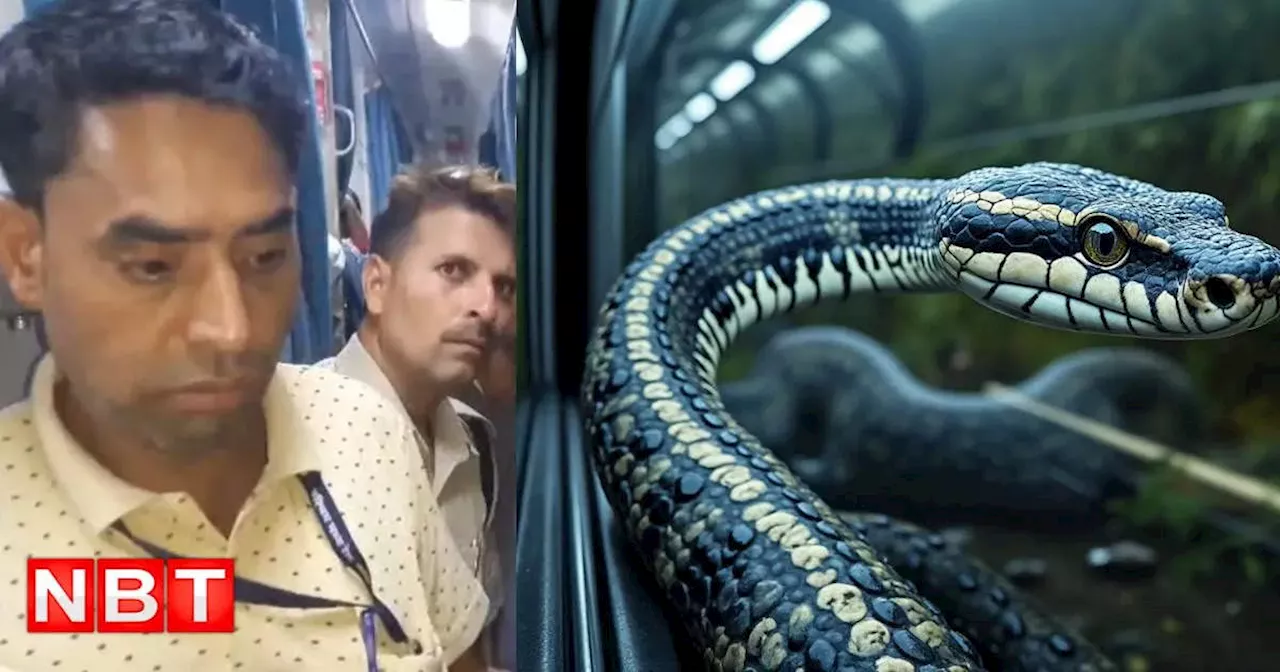 Snake In Train : ट्रेन के AC कोच में आराम फरमा रहा था 'नागराज', बेबस टीटी और बेहाल पैसेंजर्स का वीडियो वायरल, स्नेक कैचर भी कुछ नहीं कर पाया