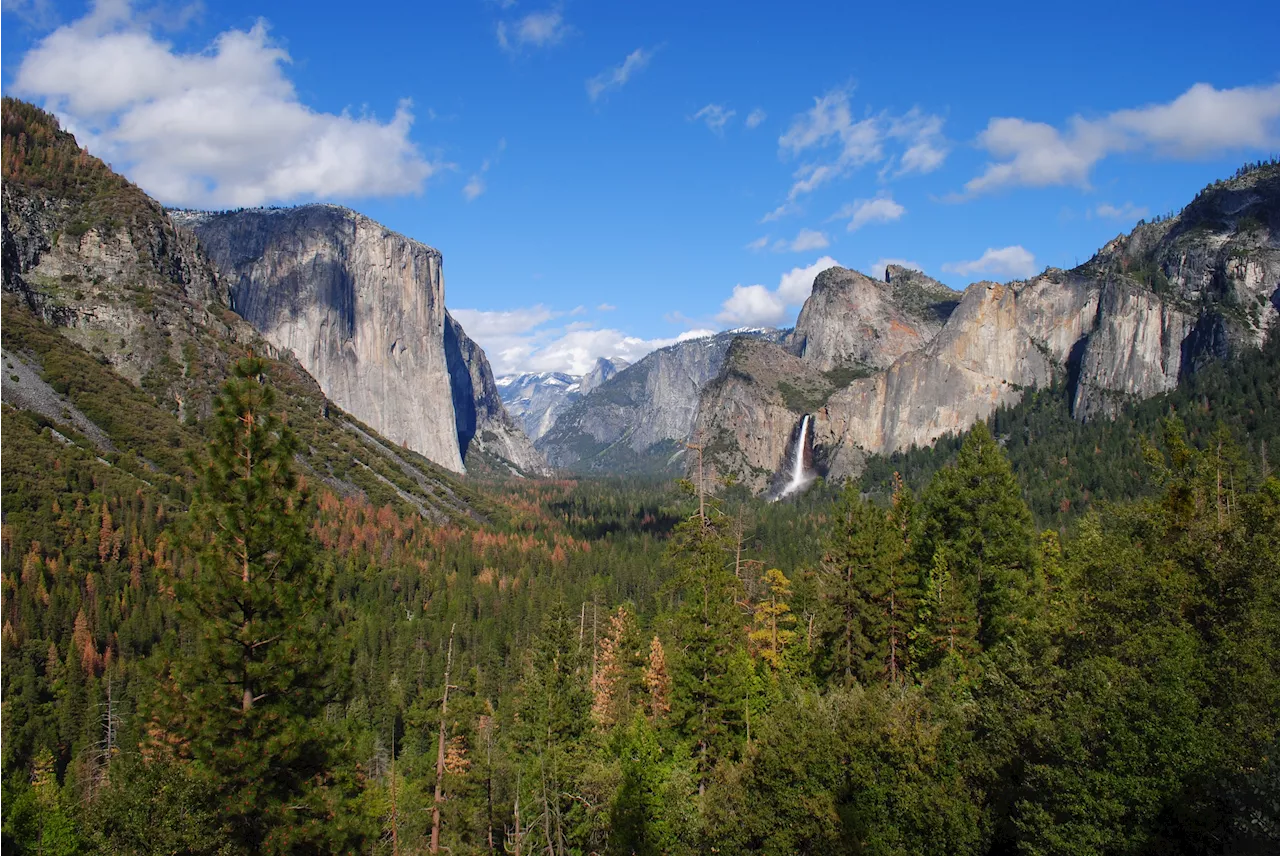 Free day at the national parks: Pitch in on National Public Lands Day