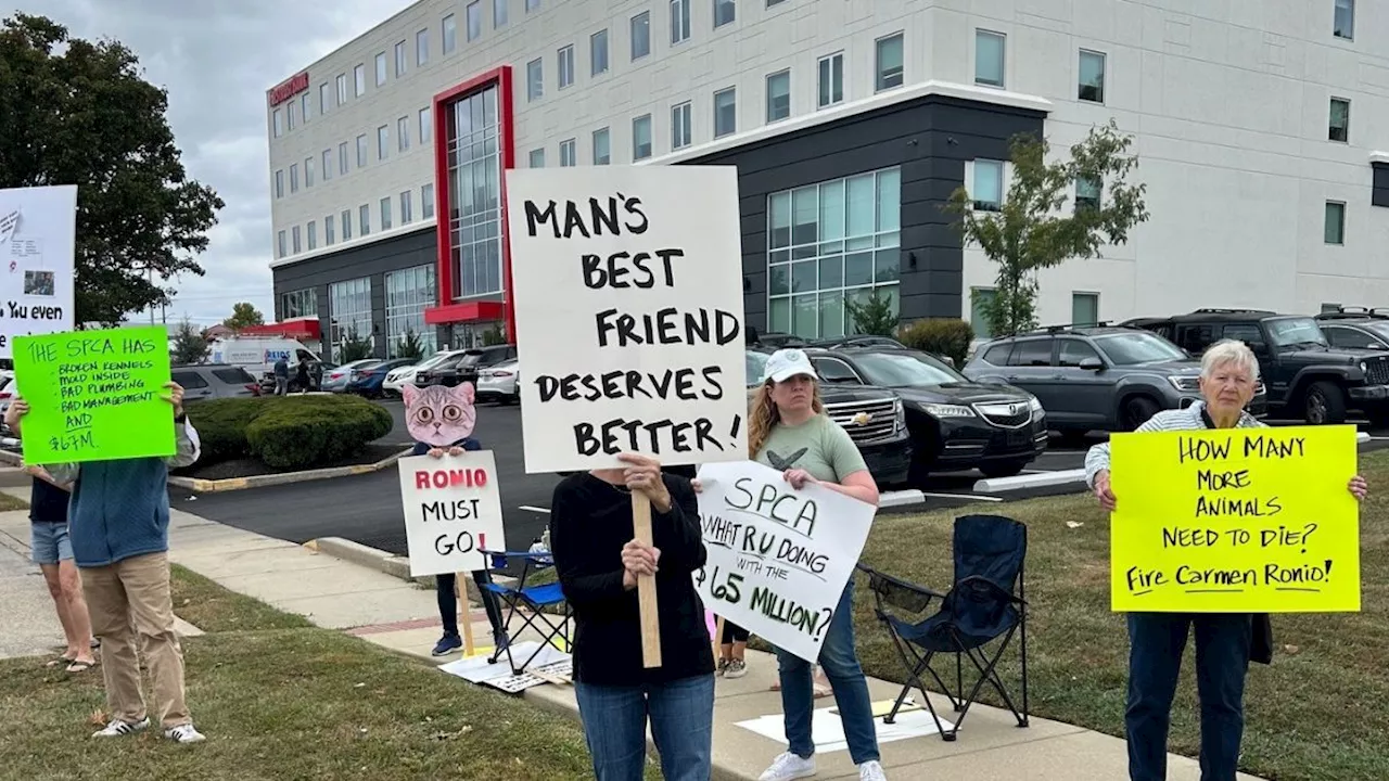 Workers raise concerns about conditions inside a Montco animal shelter