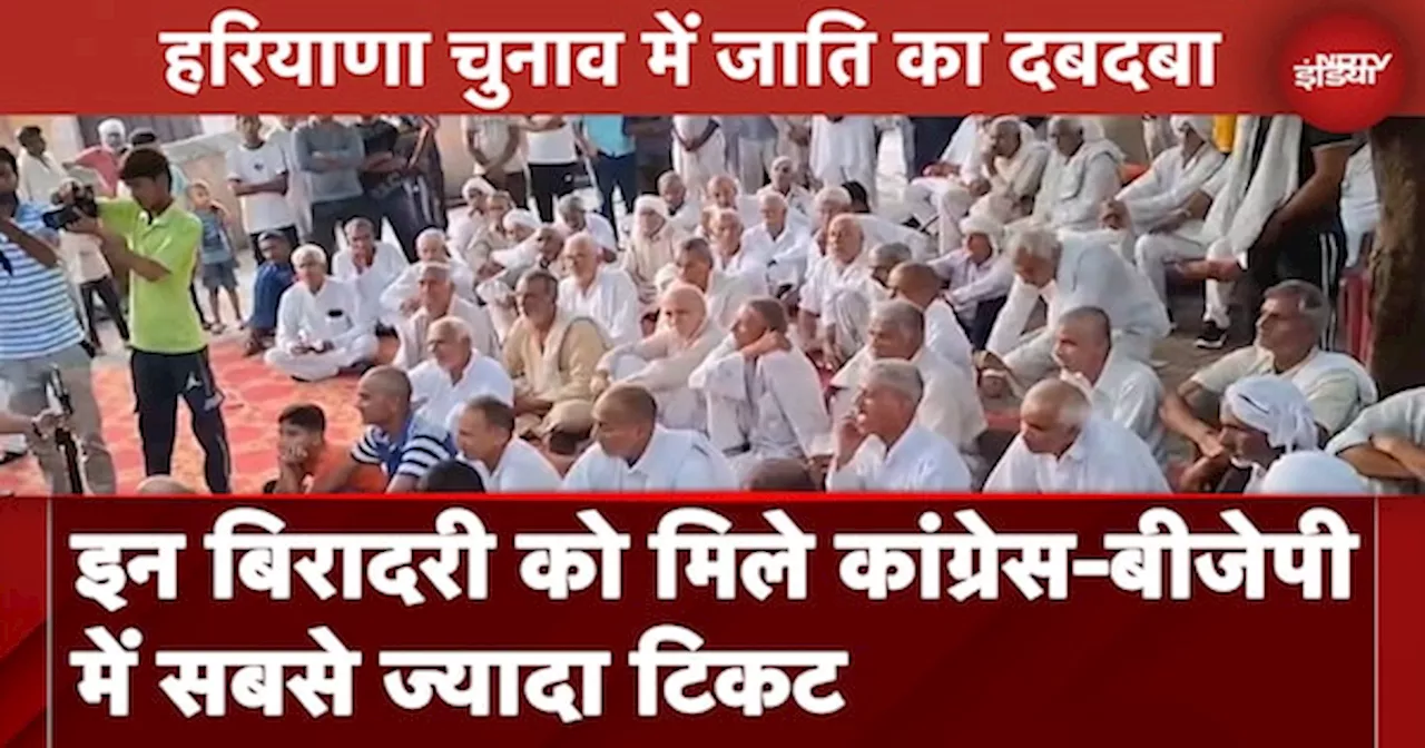 Haryana Assembly Elections में जाति का रंग, Congress और BJP... किसने कितने बिरादरी को दिया टिकट