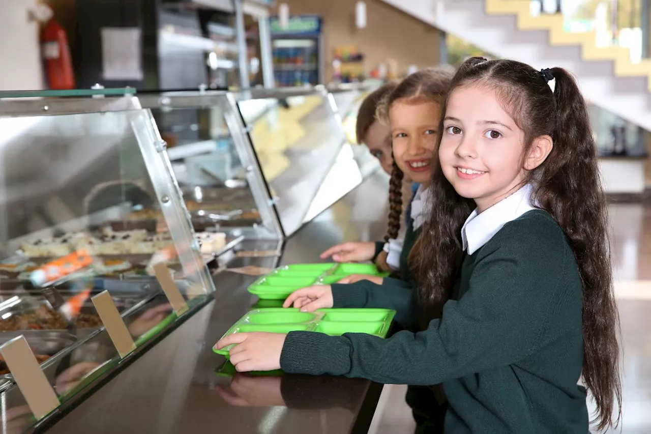 Children being auto-enrolled for free school meals in new scheme – saving families £400 a year