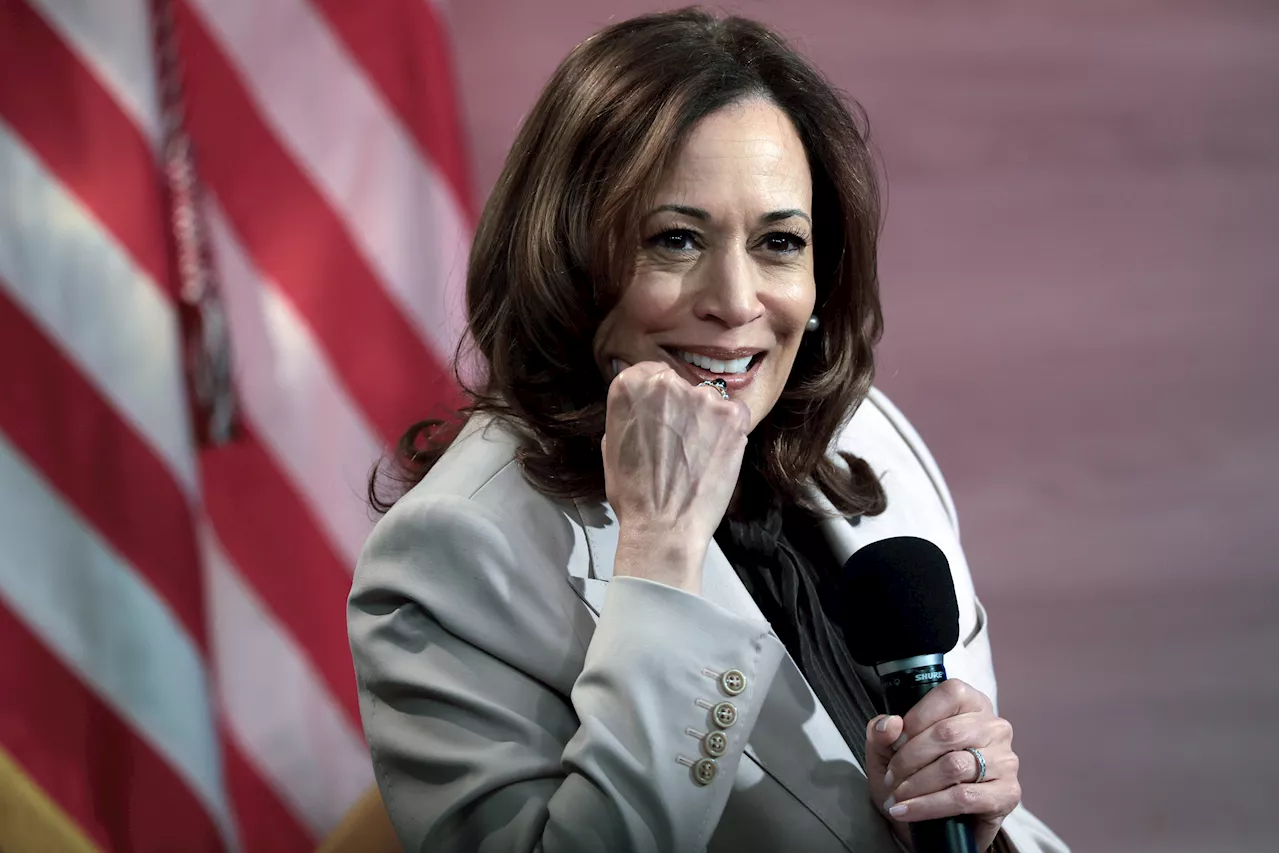 How to Watch: Kamala Harris's Solo Interview on MSNBC