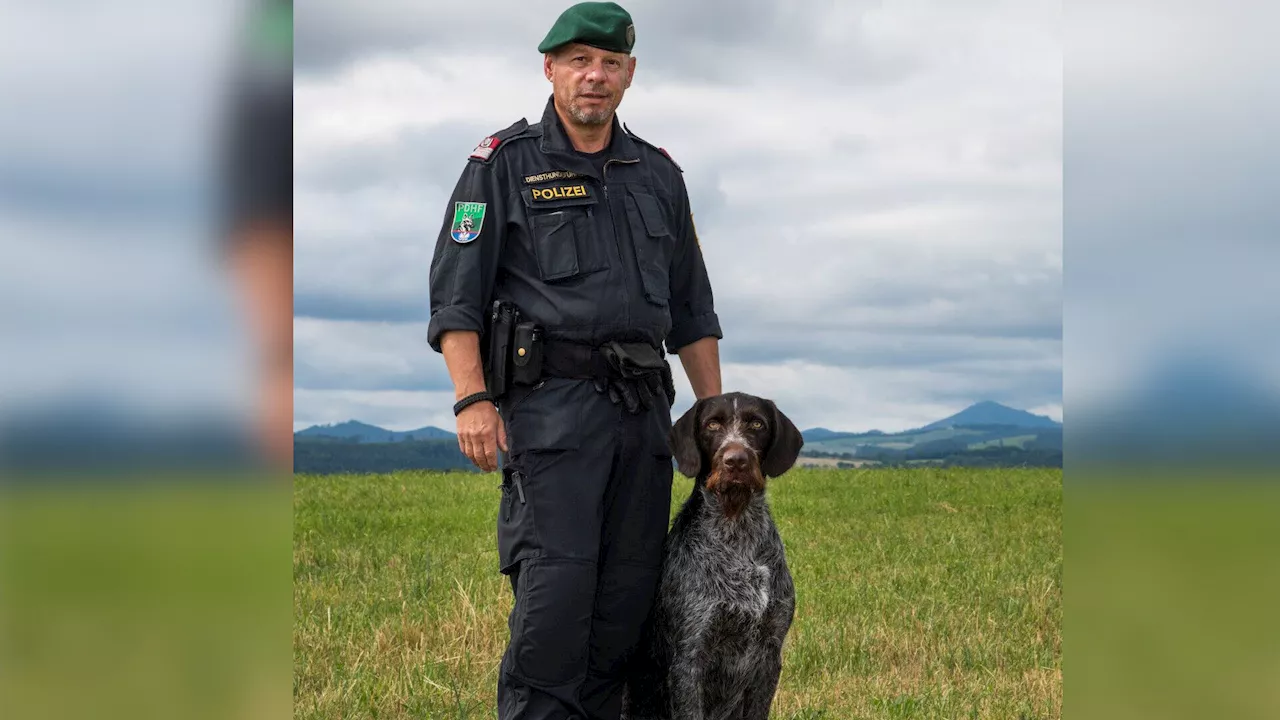 Polizeihund Odin fand abgängigen Mann im St. Pöltner Mais-Feld