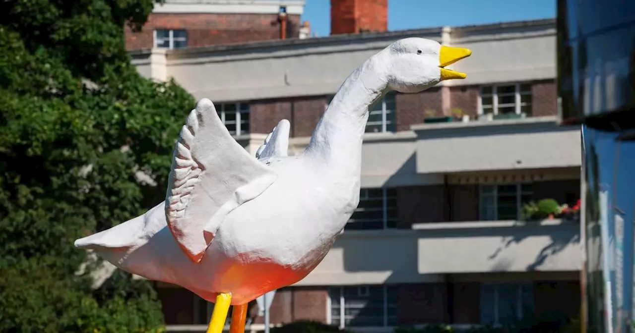 Goose Fair is almost here! Everything you need to know about Nottingham's biggest event