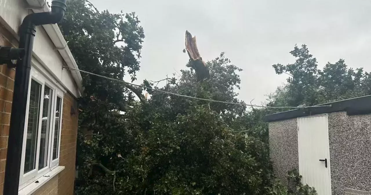 Tree Crashes Down On Bungalow During Storm, Leaving Residents Terrified