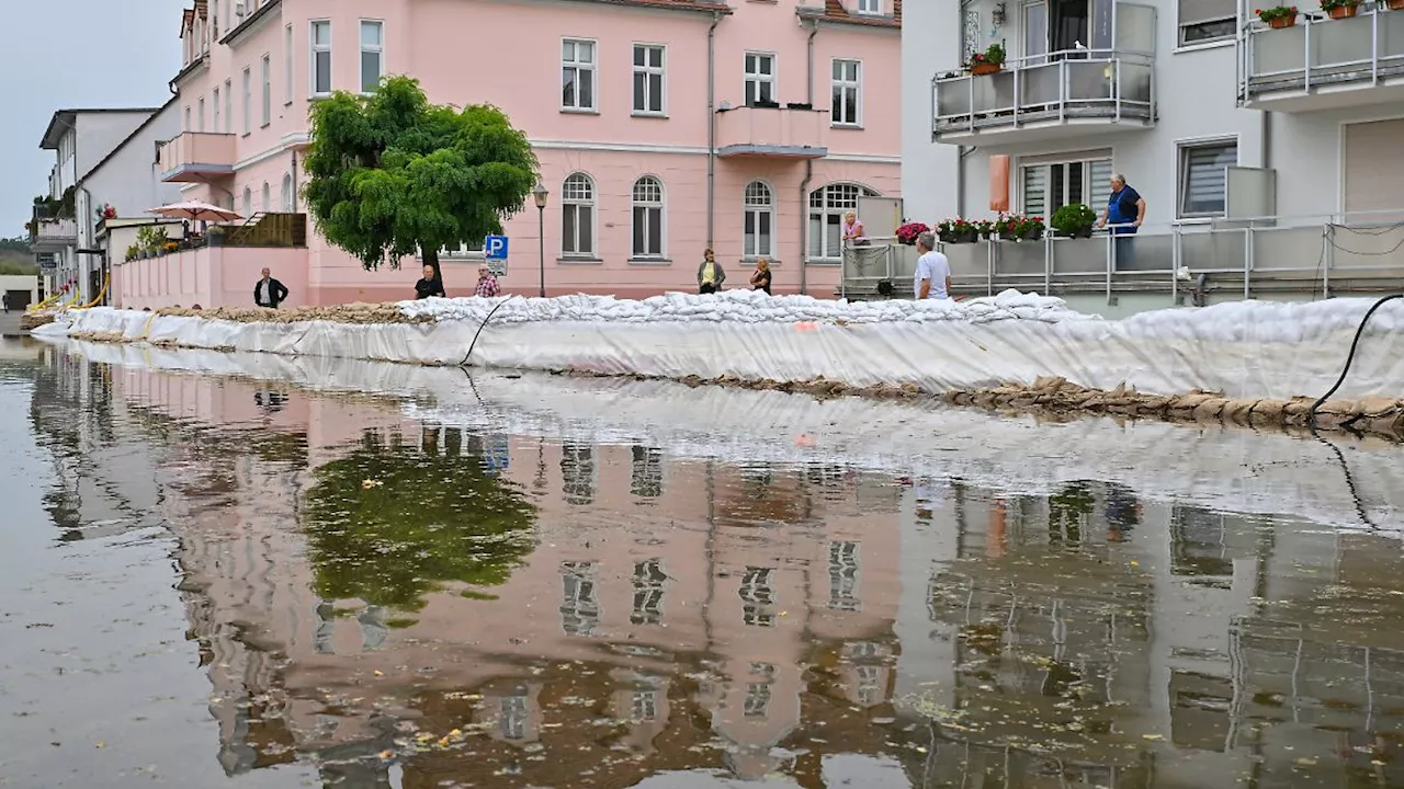 Höchste Alarmstufe bei Eisenhüttenstadt: Hochwasserlage in Brandenburg spitzt sich zu