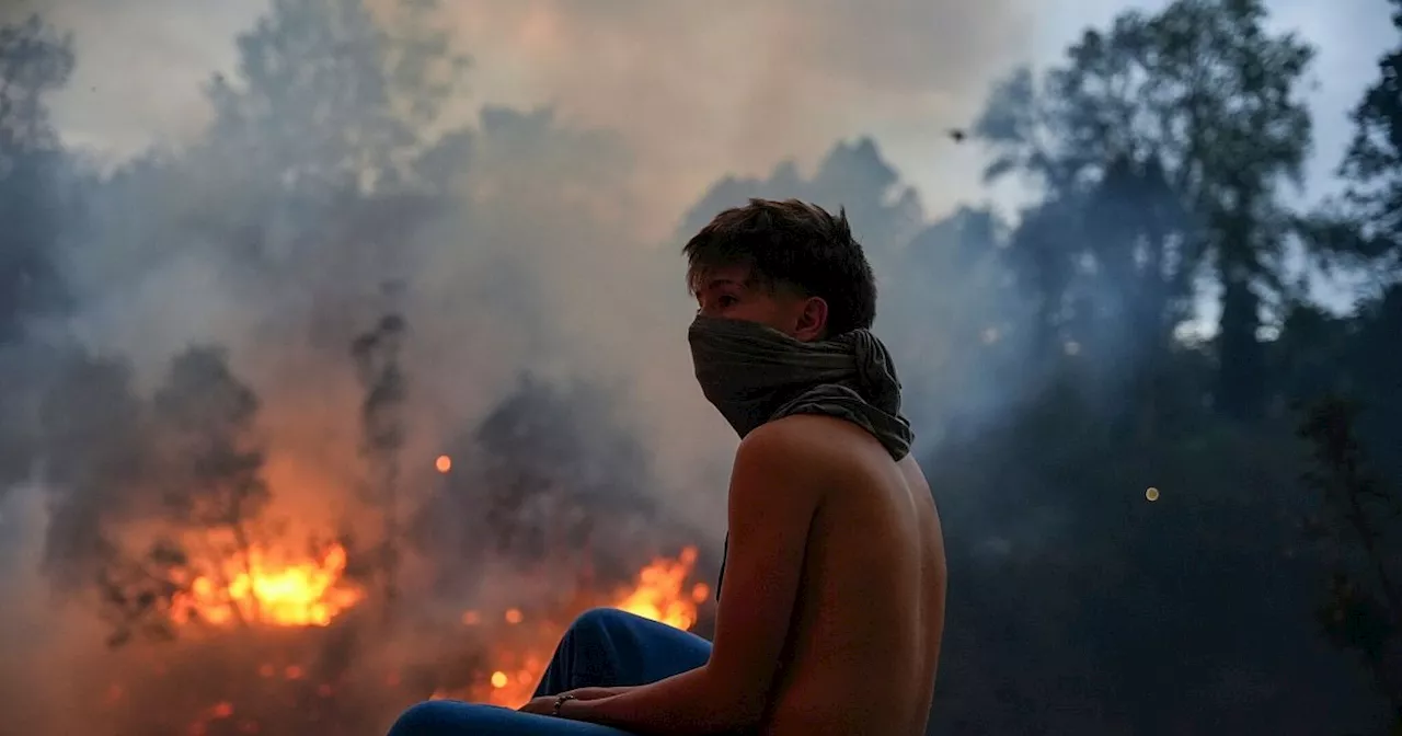 Heftige Waldbrände in Ecuadors Hauptstadt Quito