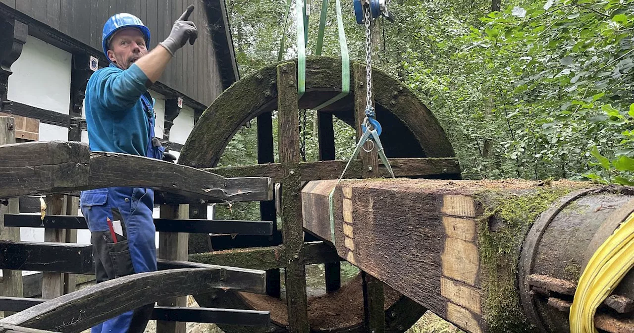 Stundenlange Aktion: Alte Hofwassermühle in Bad Oeynhausen bekommt neues Wasserrad