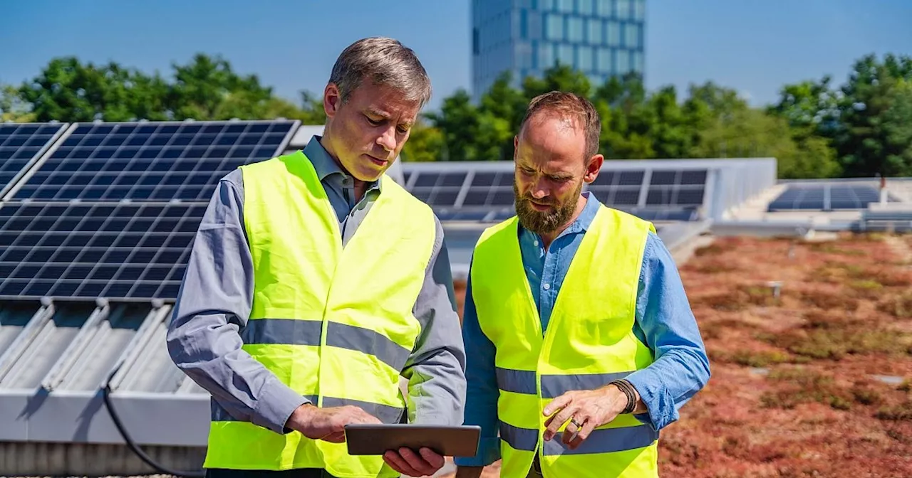 Zwei auf eins: Wie funktioniert ein Solargründach?