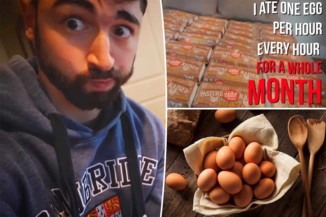 Harvard medical student ate over 700 eggs in a month — and his cholesterol levels actually dropped