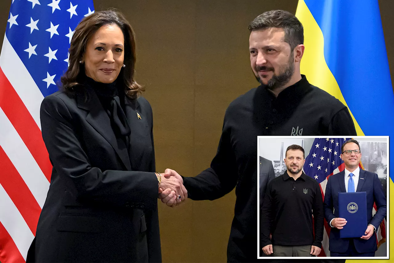 House GOP accuses Kamala Harris of using Zelensky as campaign surrogate, launches 'foreign interference' inquiry