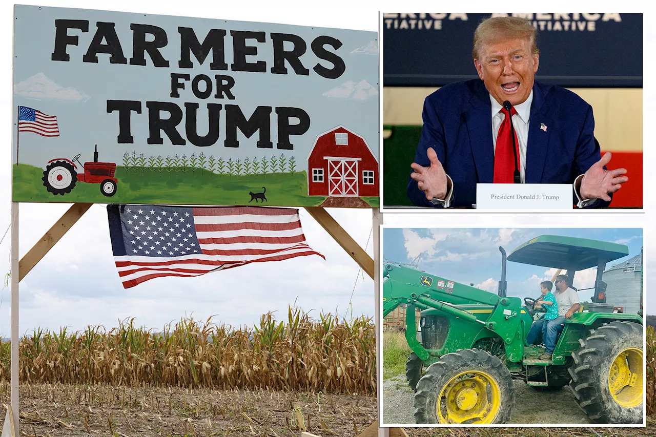 Pennsylvania farmers cheer Trump’s 200% tariff threat on John Deere: ‘They can't be high enough'