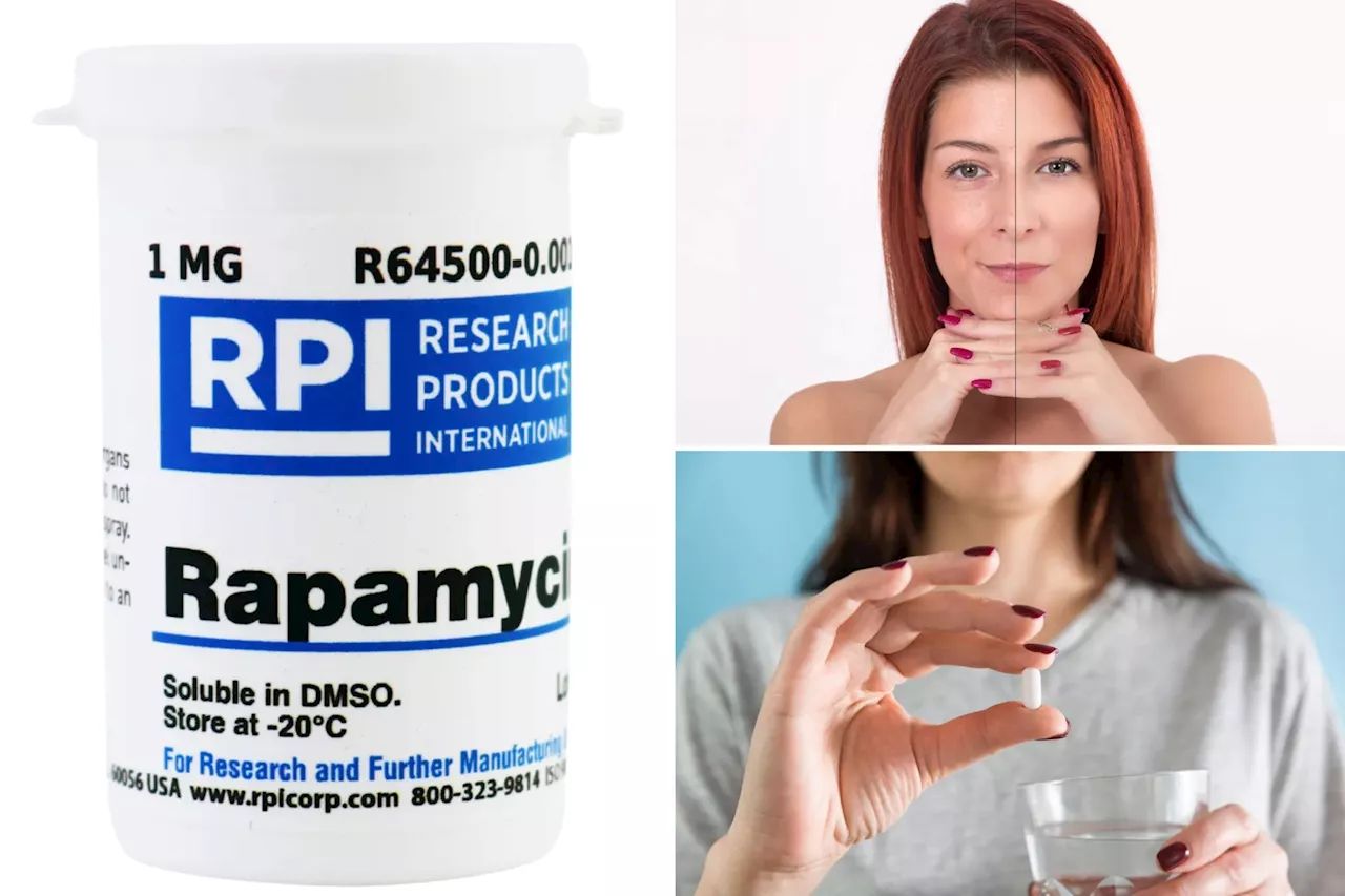 What is rapamycin? Devotees claim the drug can slow aging