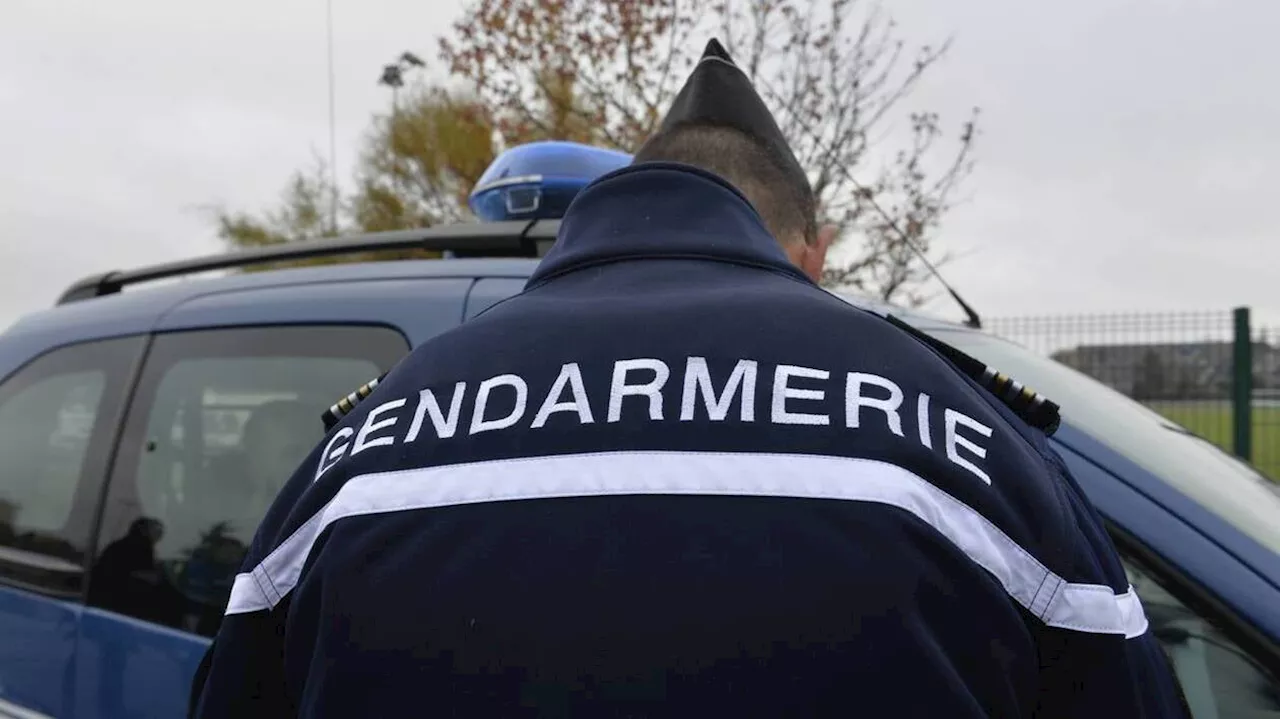 Neuf personnes en garde à vue dans une importante opération antistupéfiants en cours en Normandie