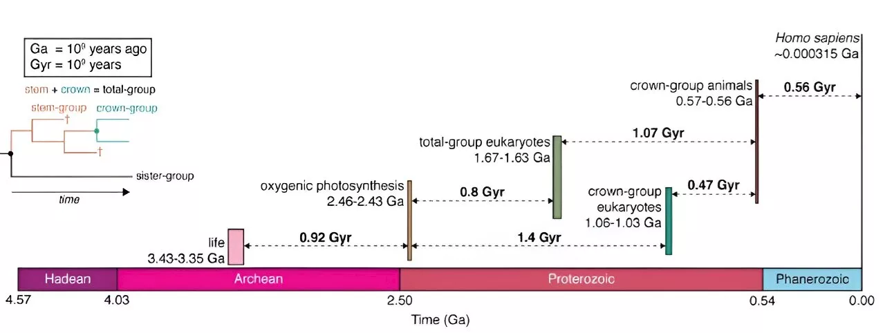 Can the 'hard steps' in the evolutionary history of human intelligence be recast with geological thresholds?