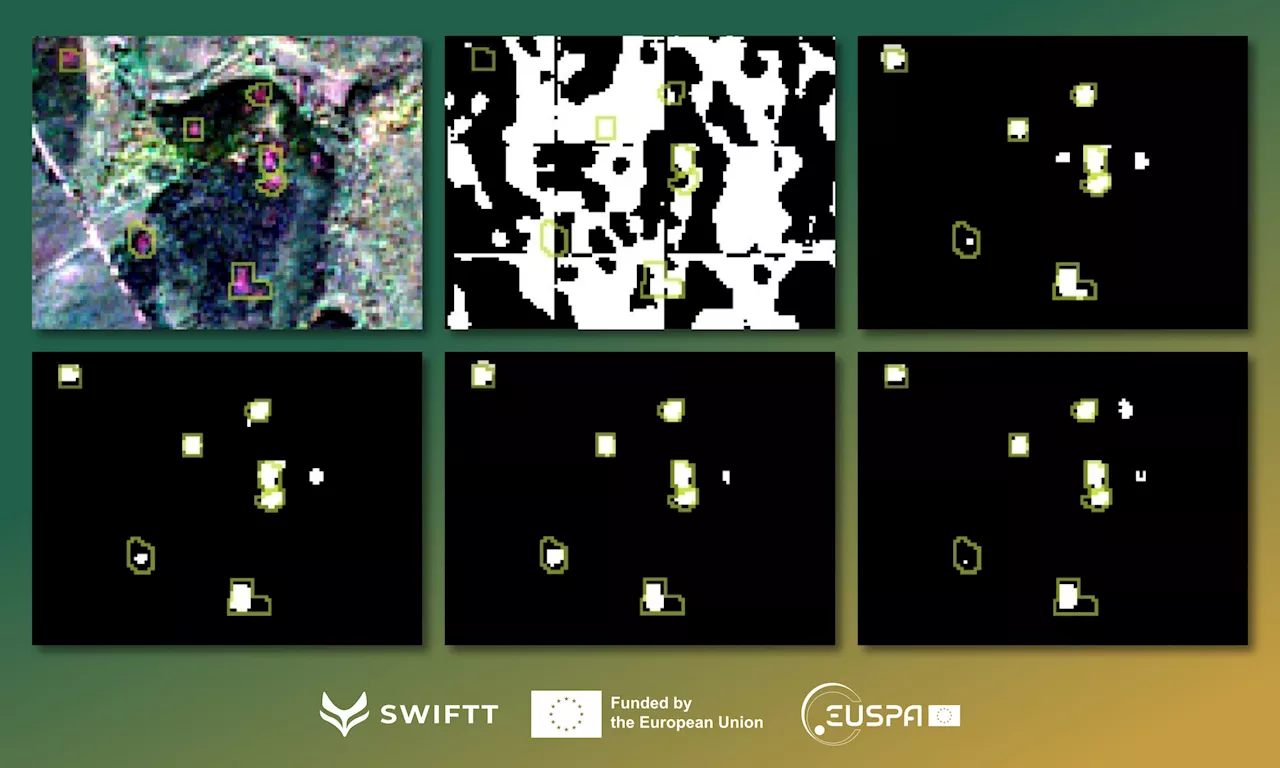 Researchers explore novel approach to map forest dieback in satellite images