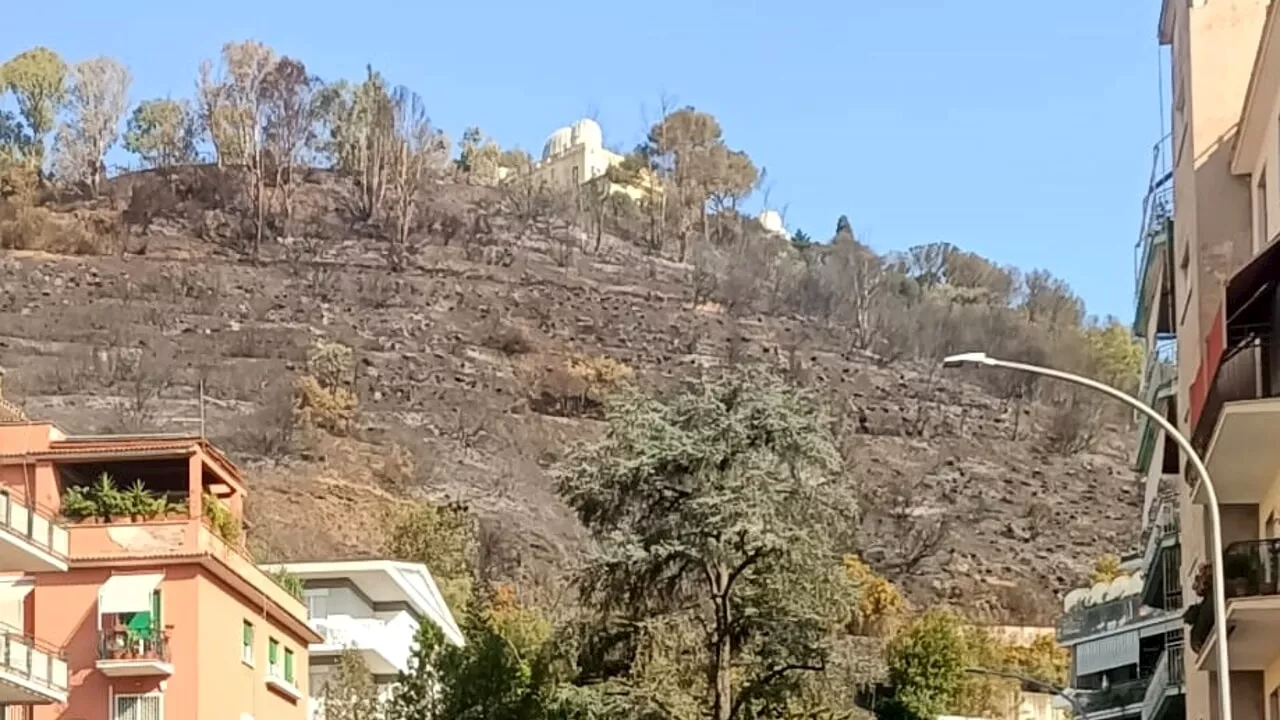 Idrosemina e gabbioni per salvare Monte Mario. Così il Campidoglio punta a consolidare la collina