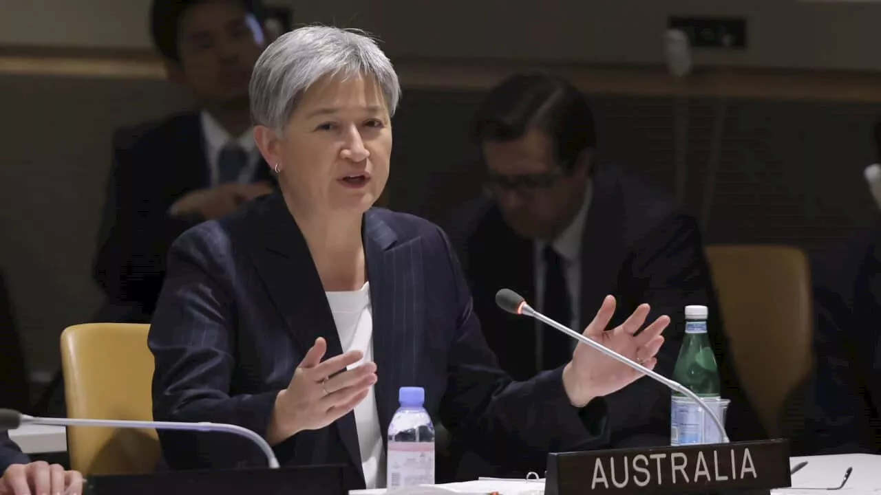 Penny Wong confirms possible Lebanon evacuation plans, tells Australians to 'please leave'