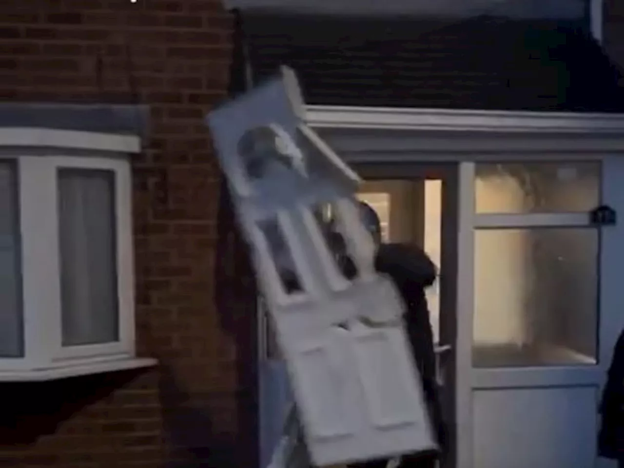 Watch: Police raid Wellington house where they find dozens of cannabis plants