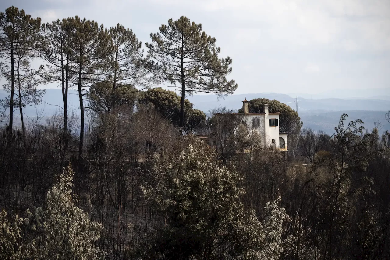 Autarquia de Albergaria-a-Velha procura casas para realojar dezenas de famílias