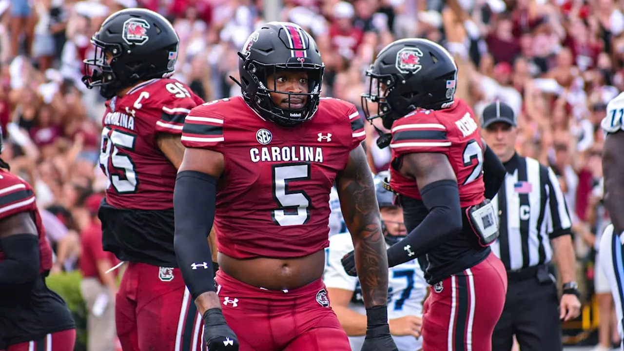 An updated look at the South Carolina Gamecock's transfer class through four weeks