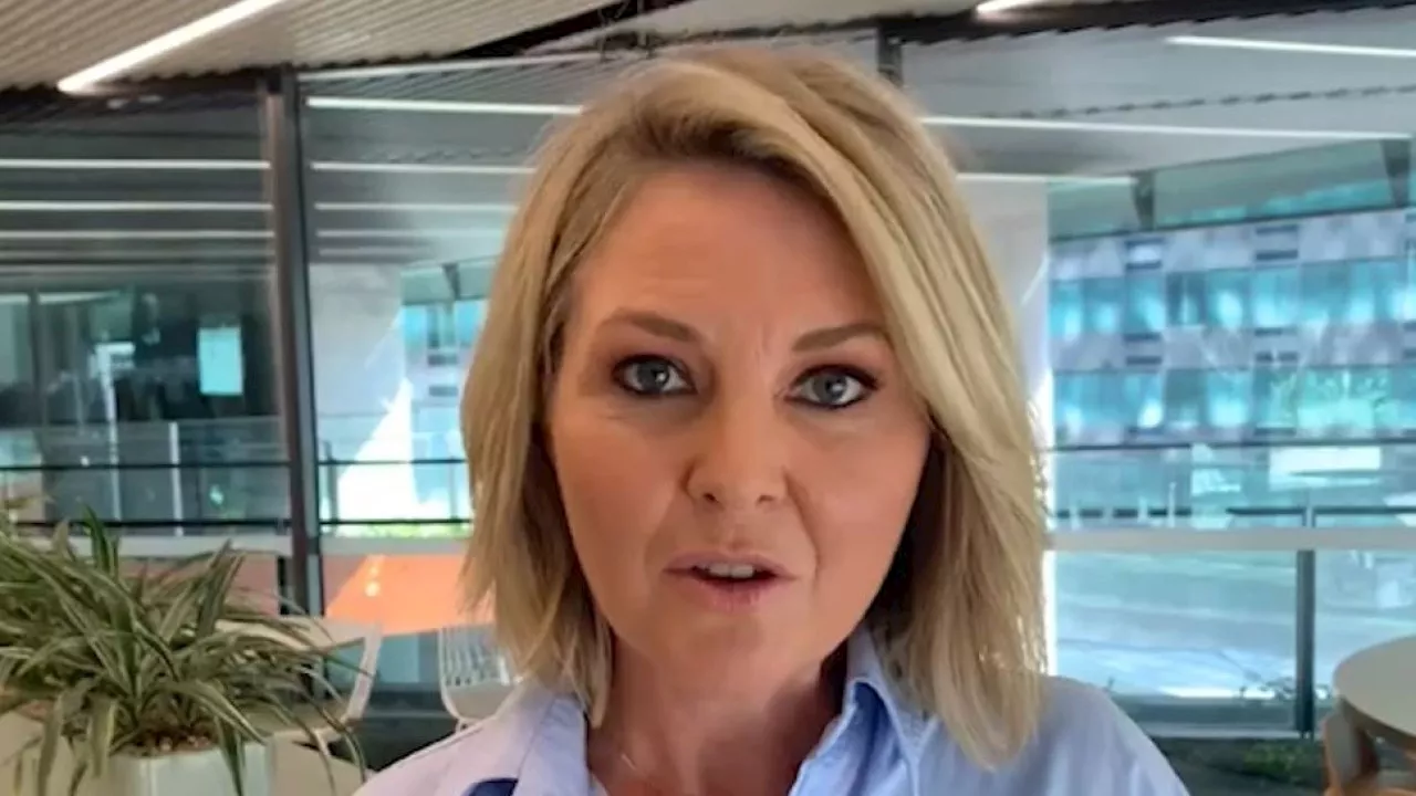 ‘Really tense’: New account of what led to Georgie Gardner’s alleged ‘heated spray’ at staffer