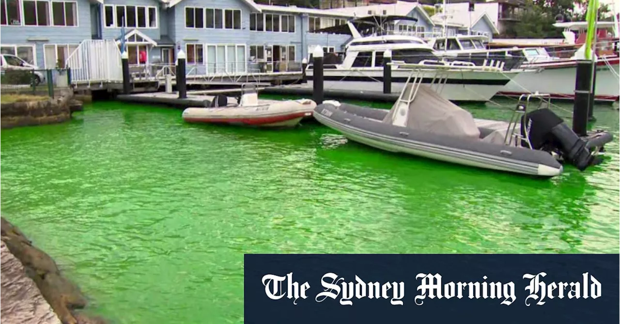 Mysterious neon green water appears in Sydney Harbour