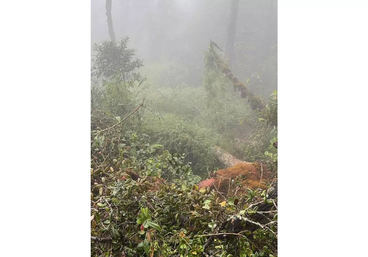 Cameron Highlands hiking trails open again, except Gunung Irau route