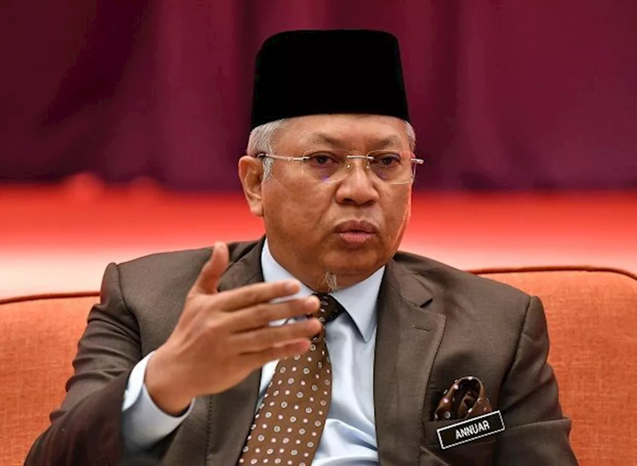 Mahkota polls: Umno needs 'medical treatment', says Annuar Musa