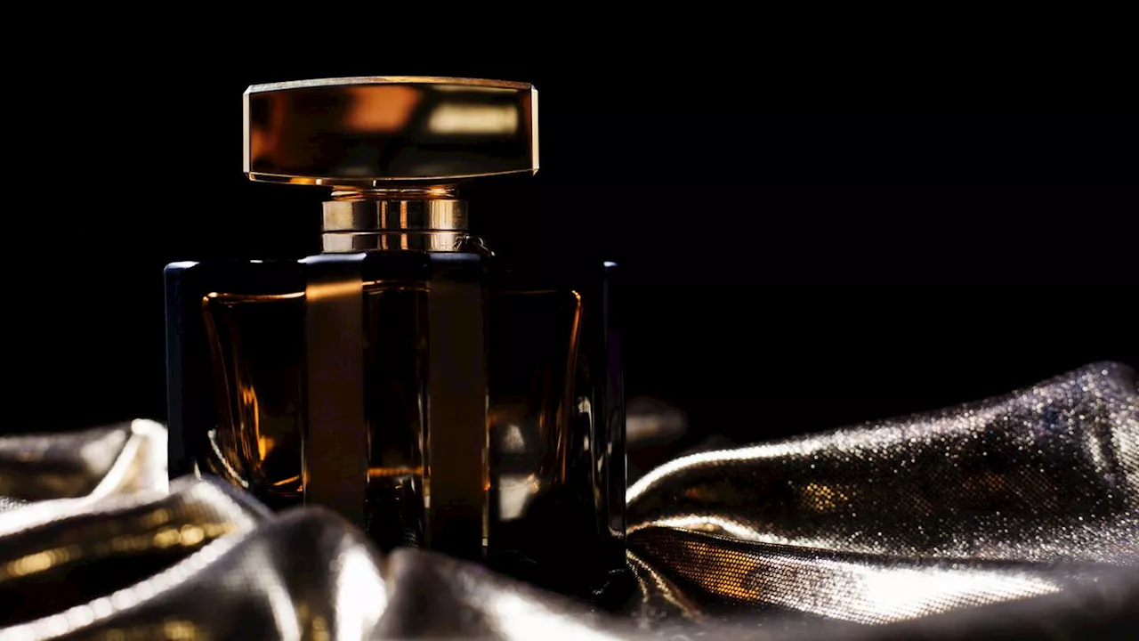 Trenddüfte für Männer: Diese 10 Parfums sind 2024 angesagt