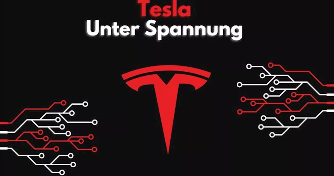 Elliott-Wellen-Video Analyse der Woche: TESLA