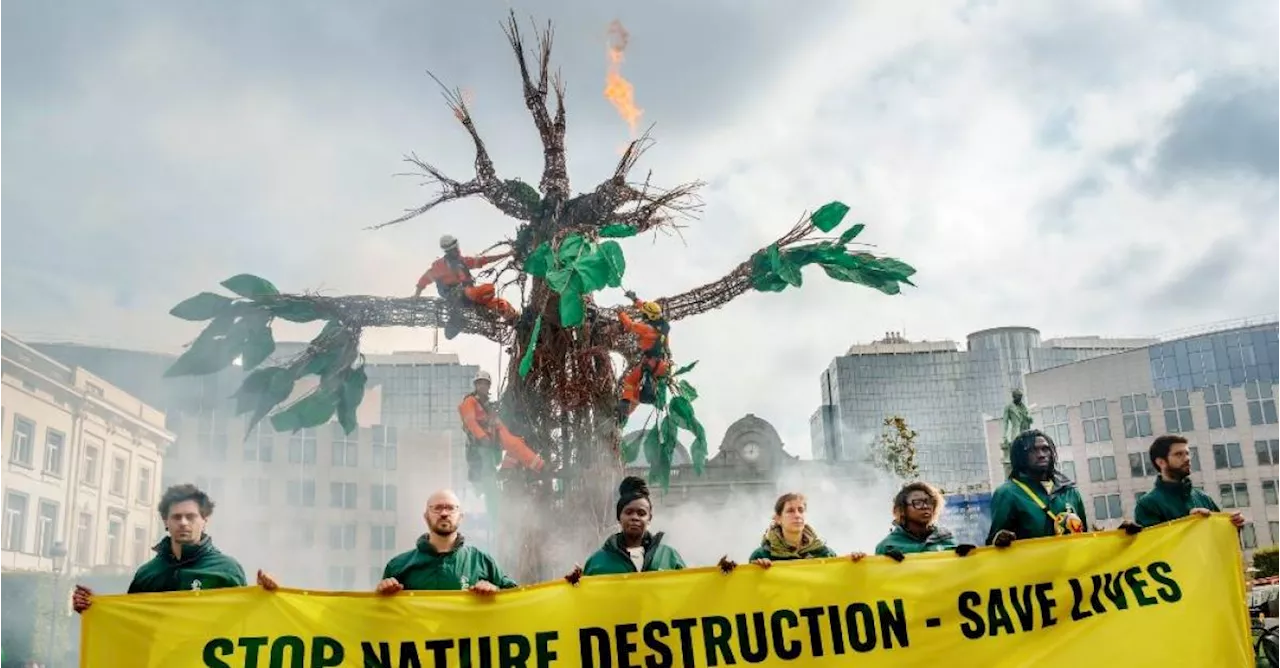 « Nous devons restaurer la nature en Europe » : une sculpture d’arbre de neuf mètres de haut installée devant