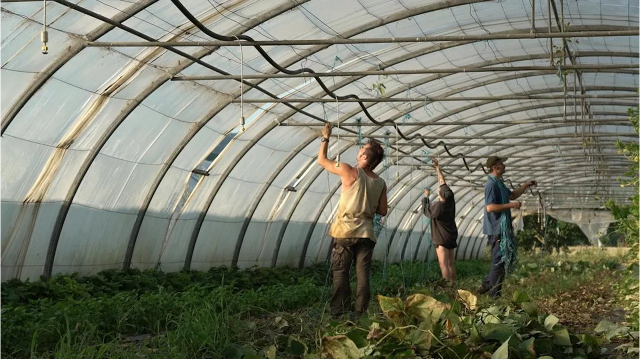 Libourne : “La Théorie du boxeur”, un film coup de poing qui questionne l’avenir de l’agriculture