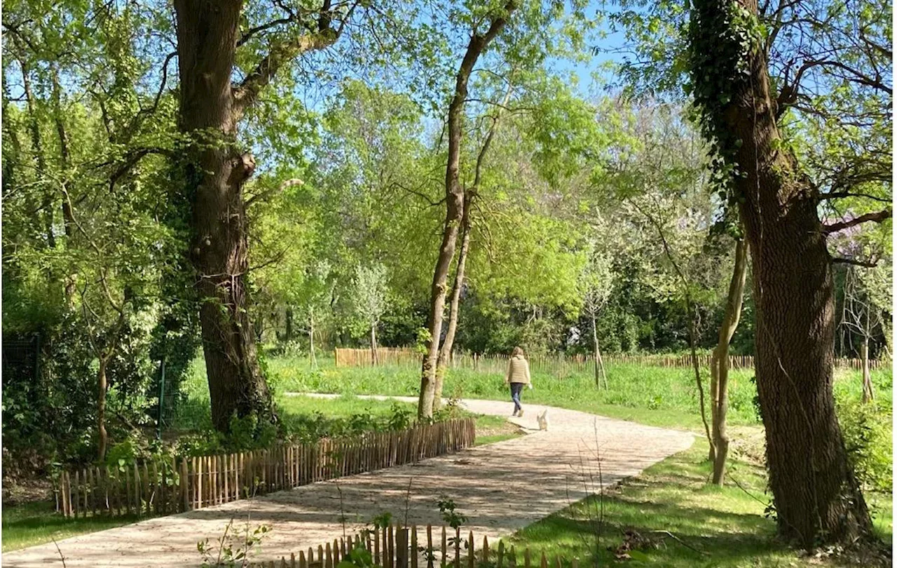 Urbanisme en Gironde : Pessac veut créer un nouveau quartier avec un parc de deux hectares