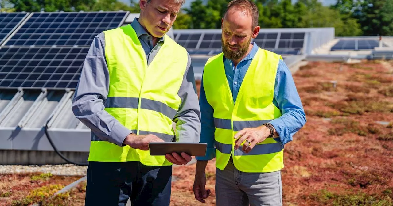 Zwei auf eins: Wie funktioniert ein Solargründach?