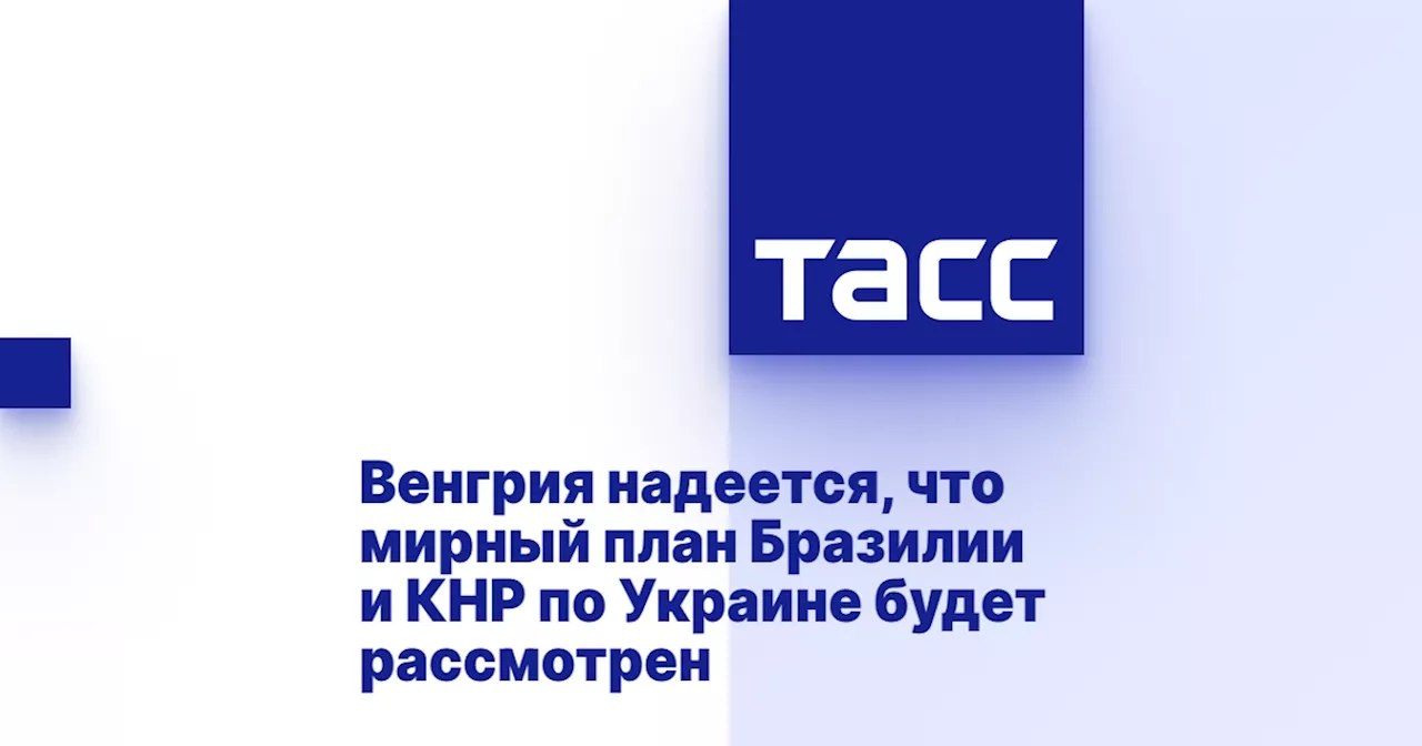 Венгрия надеется, что мирный план Бразилии и КНР по Украине будет рассмотрен