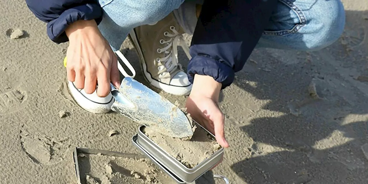 Mikroplastik an deutschen Stränden: Strände großflächig verschmutzt