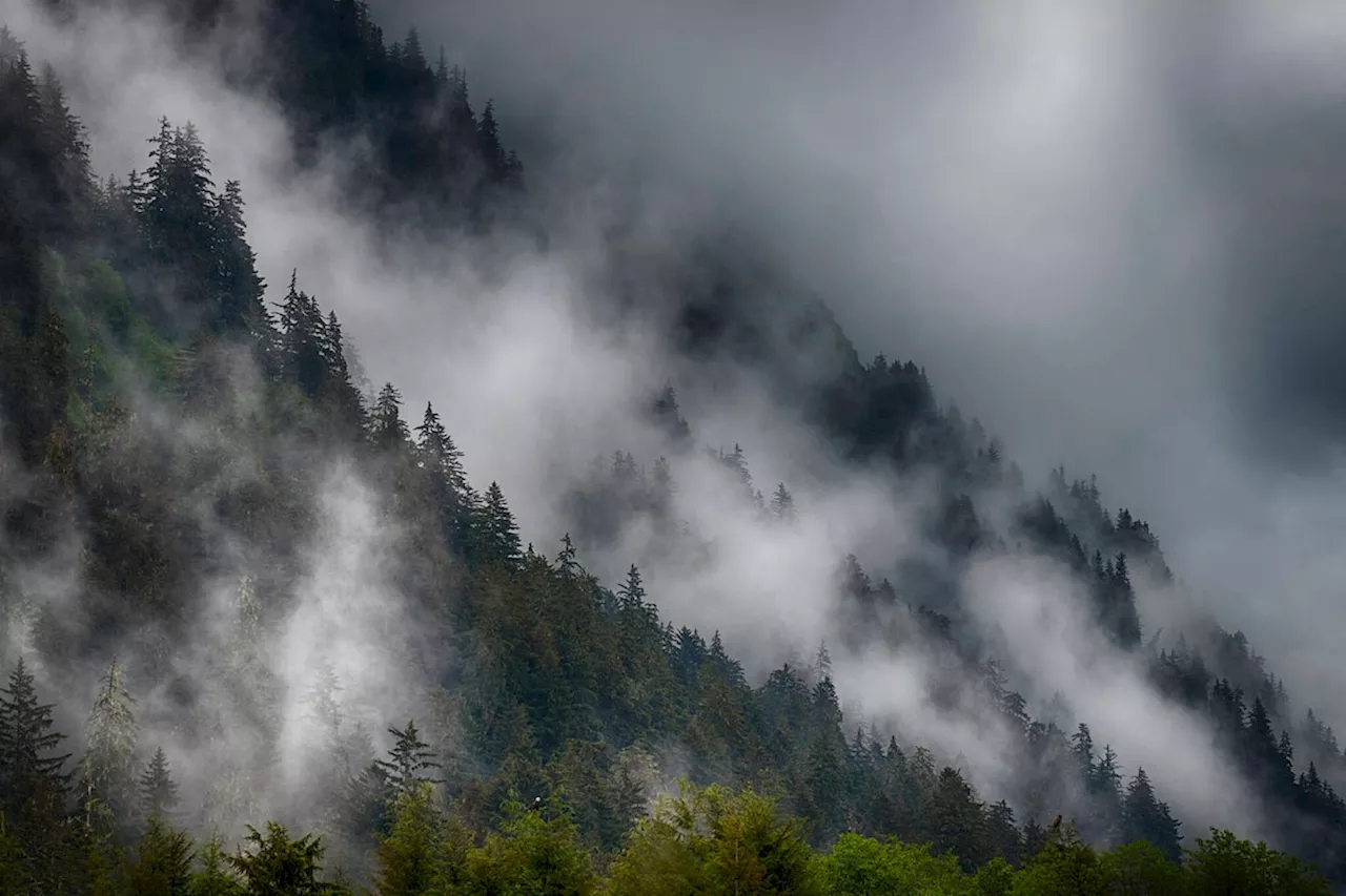 B.C. storm season arrives as atmospheric rivers deluge parts of the province