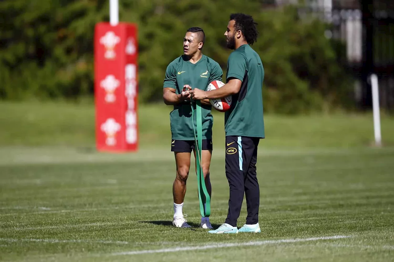 Who’s going to kick to goal for Boks — Manie, Jaden or Cheslin?